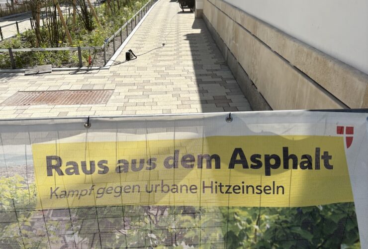 Raus aus dem Asphalt - rein ins teure Pflaster